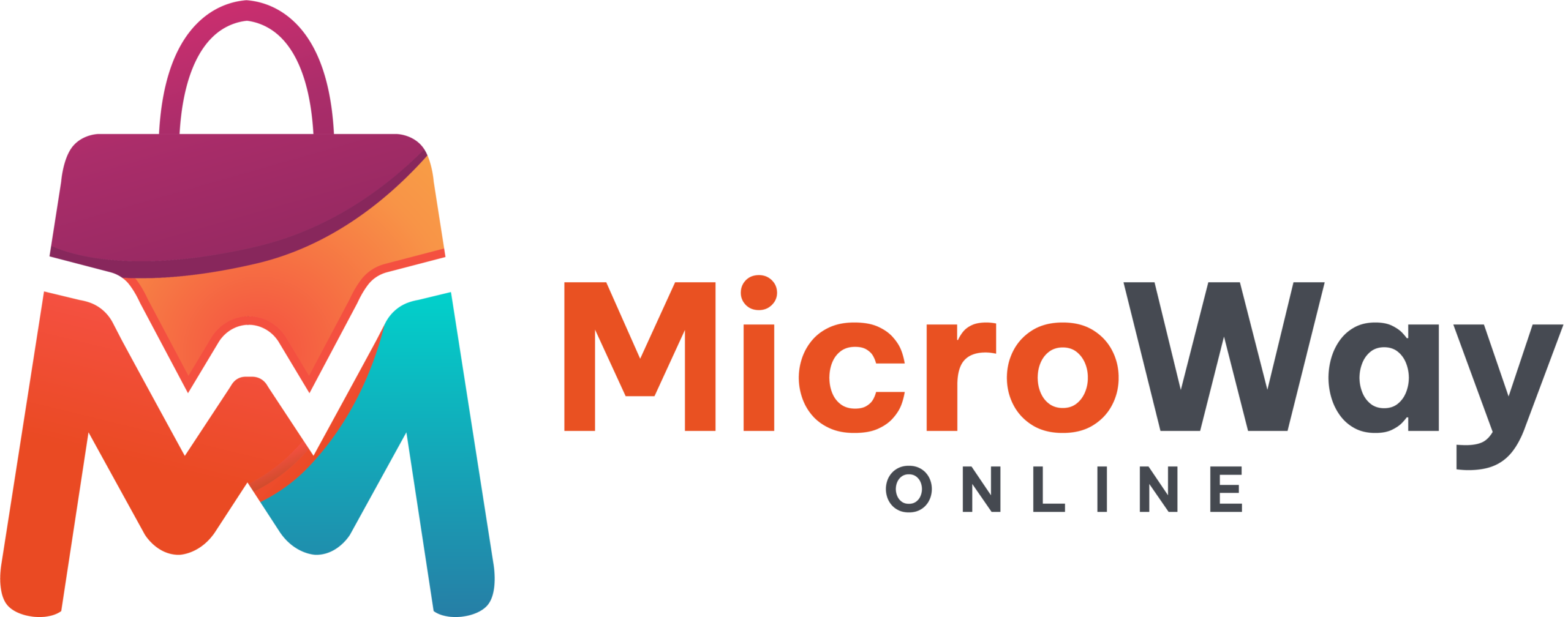 MicroWay Online Logo